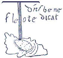 Autografo di S. Francesco con la sua TAU